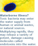 toxins in water